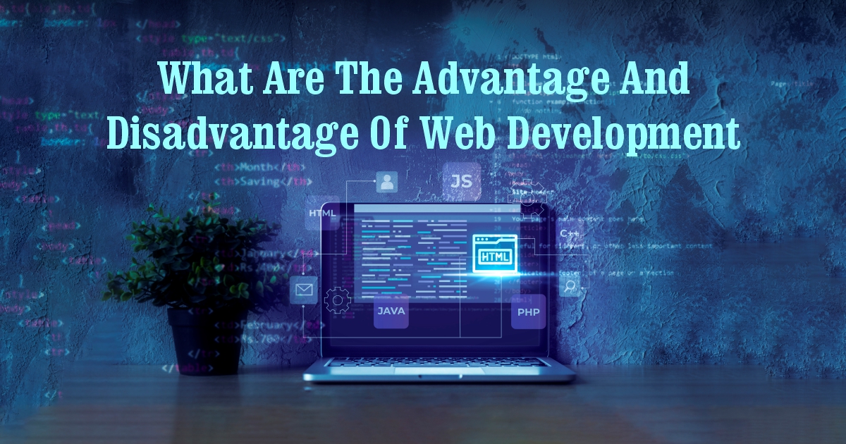 Levox - What are the advantage and disadvantage of web development: